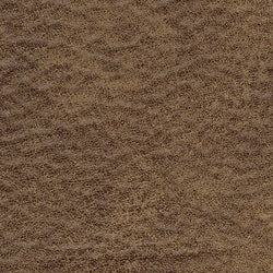 Larkinhurst Sofa Sleeper and Recliner