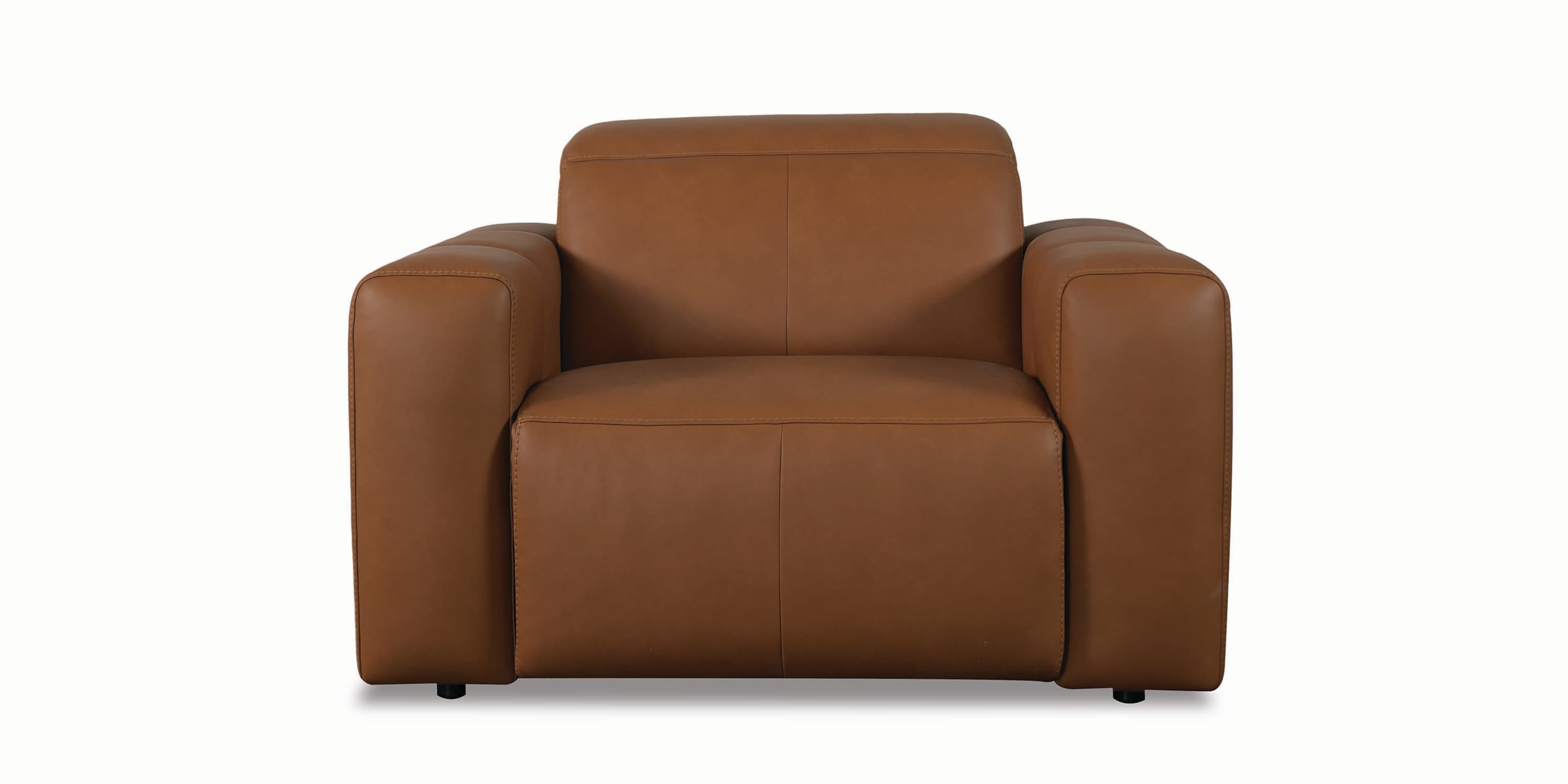 Airy Leather Power Recliner Bassett