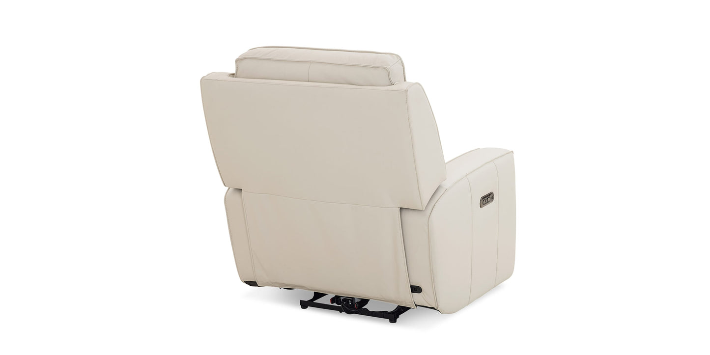 Raymond Leather Power Recliner Bassett