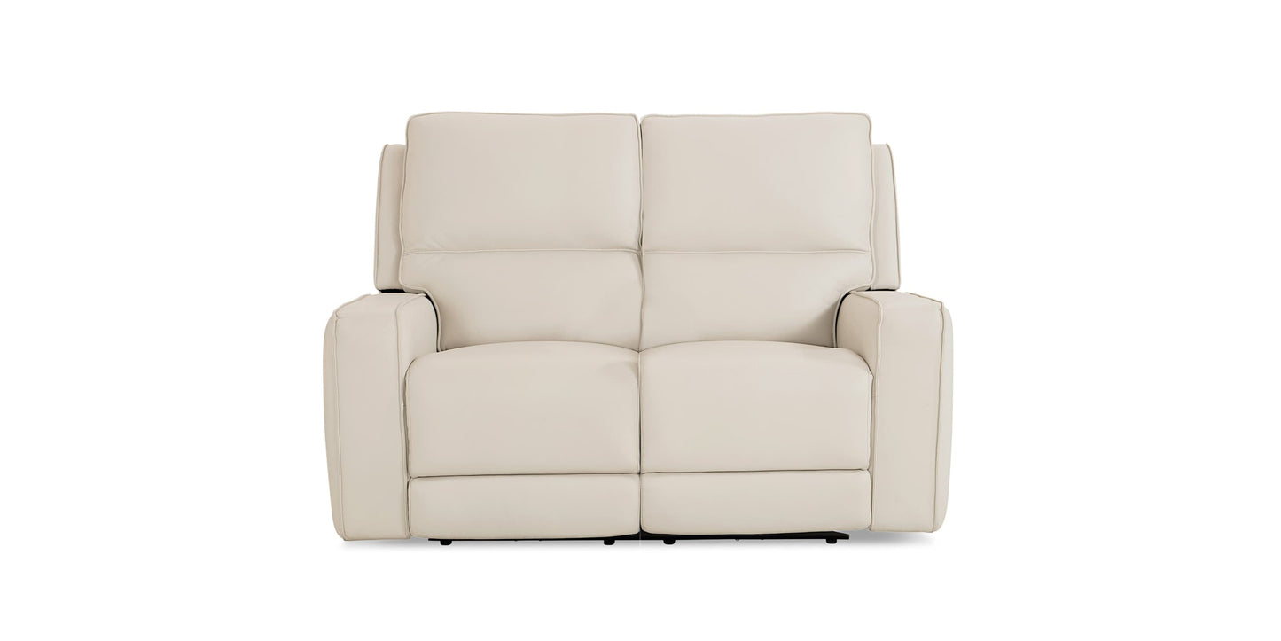 Raymond Leather Power Reclining Loveseat Bassett