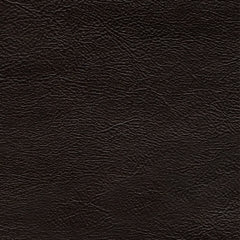 Vacherie Reclining Sofa and Recliner