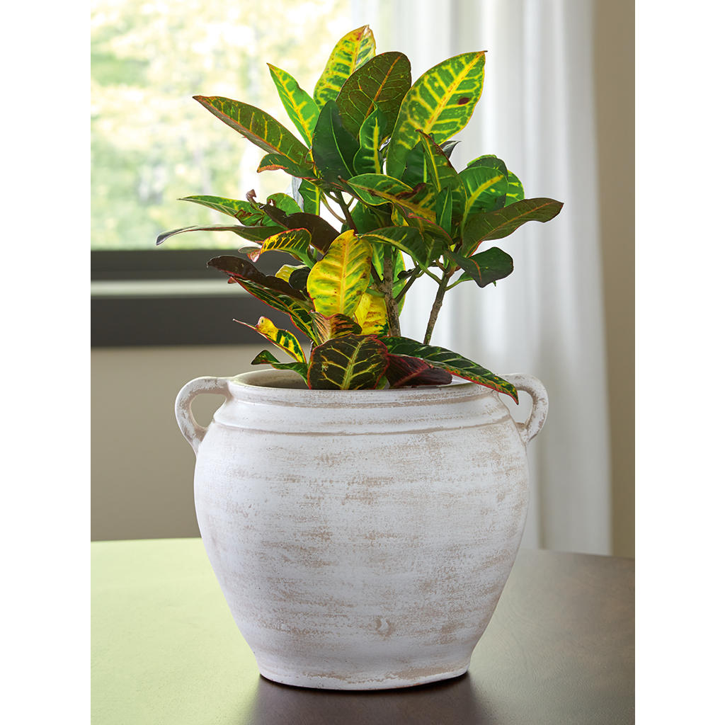 Meadie Vase Signature Design by Ashley® Home Accents