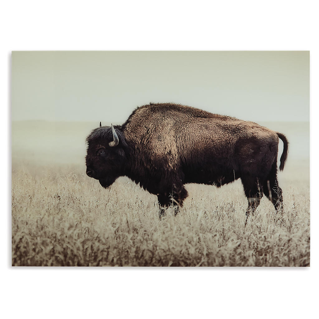 Brutus Wall Art Signature Design by Ashley® Wall Decor