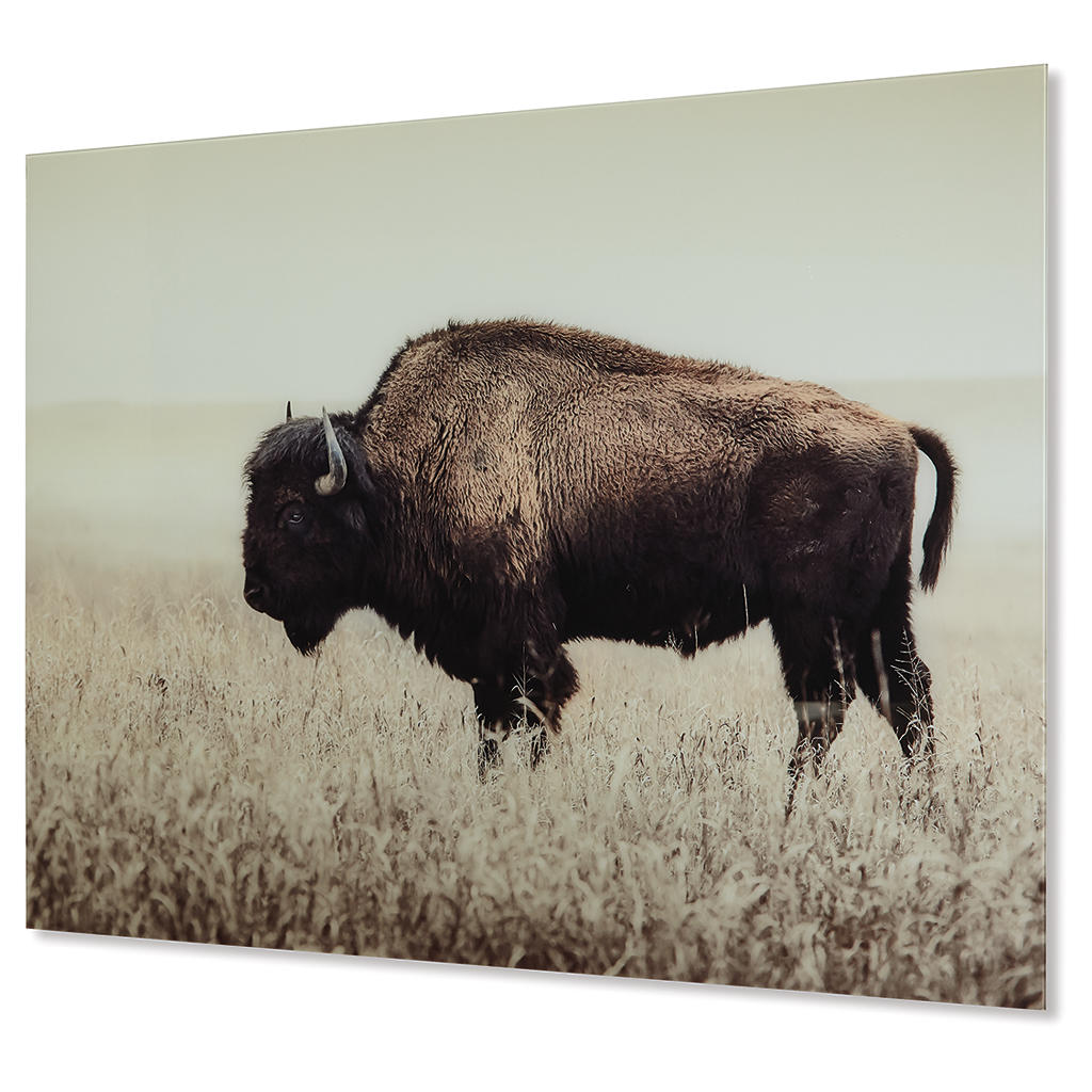 Brutus Wall Art Signature Design by Ashley® Wall Decor
