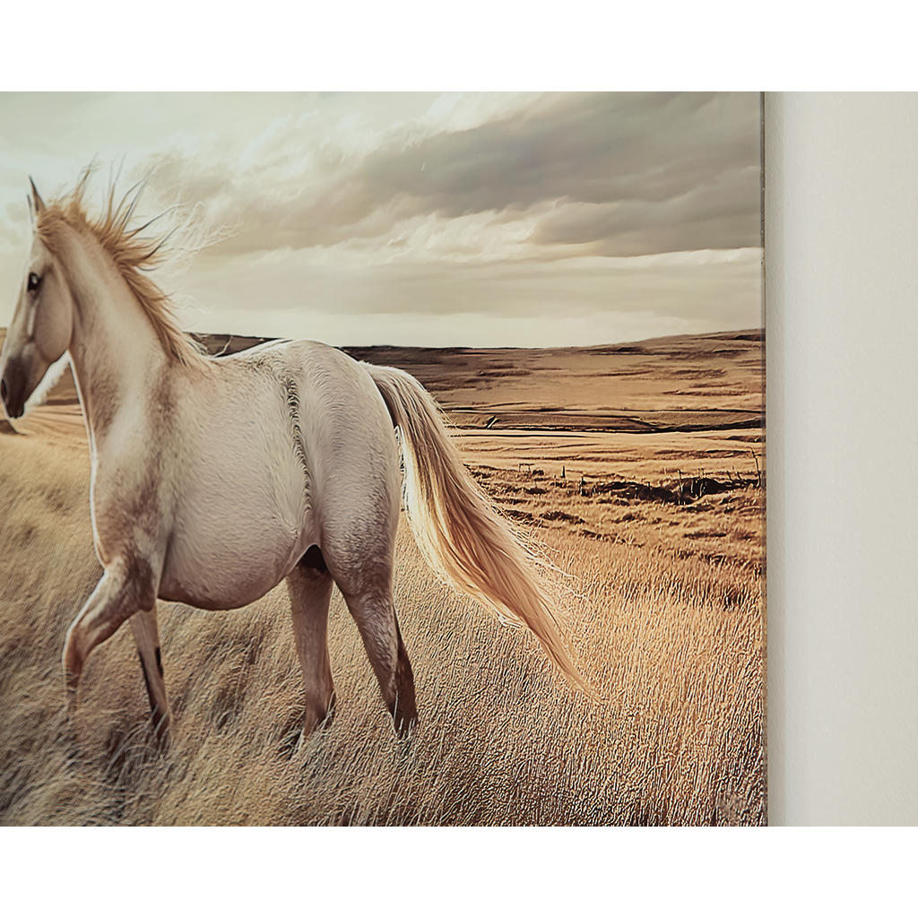 Errolville Wall Art Signature Design by Ashley® Wall Decor