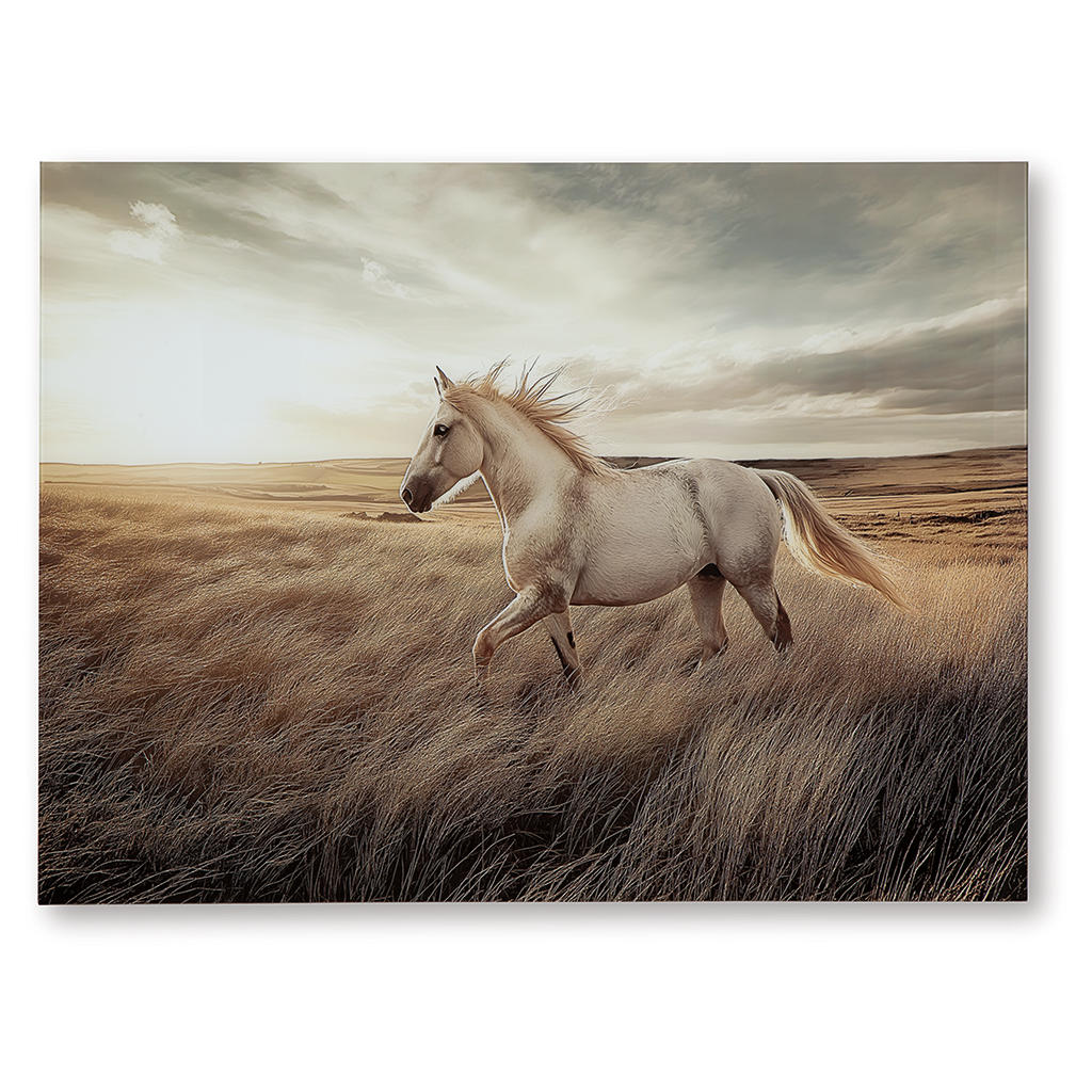 Errolville Wall Art Signature Design by Ashley® Wall Decor