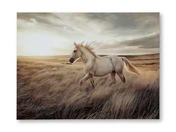 Errolville Wall Art Signature Design by Ashley® Wall Decor
