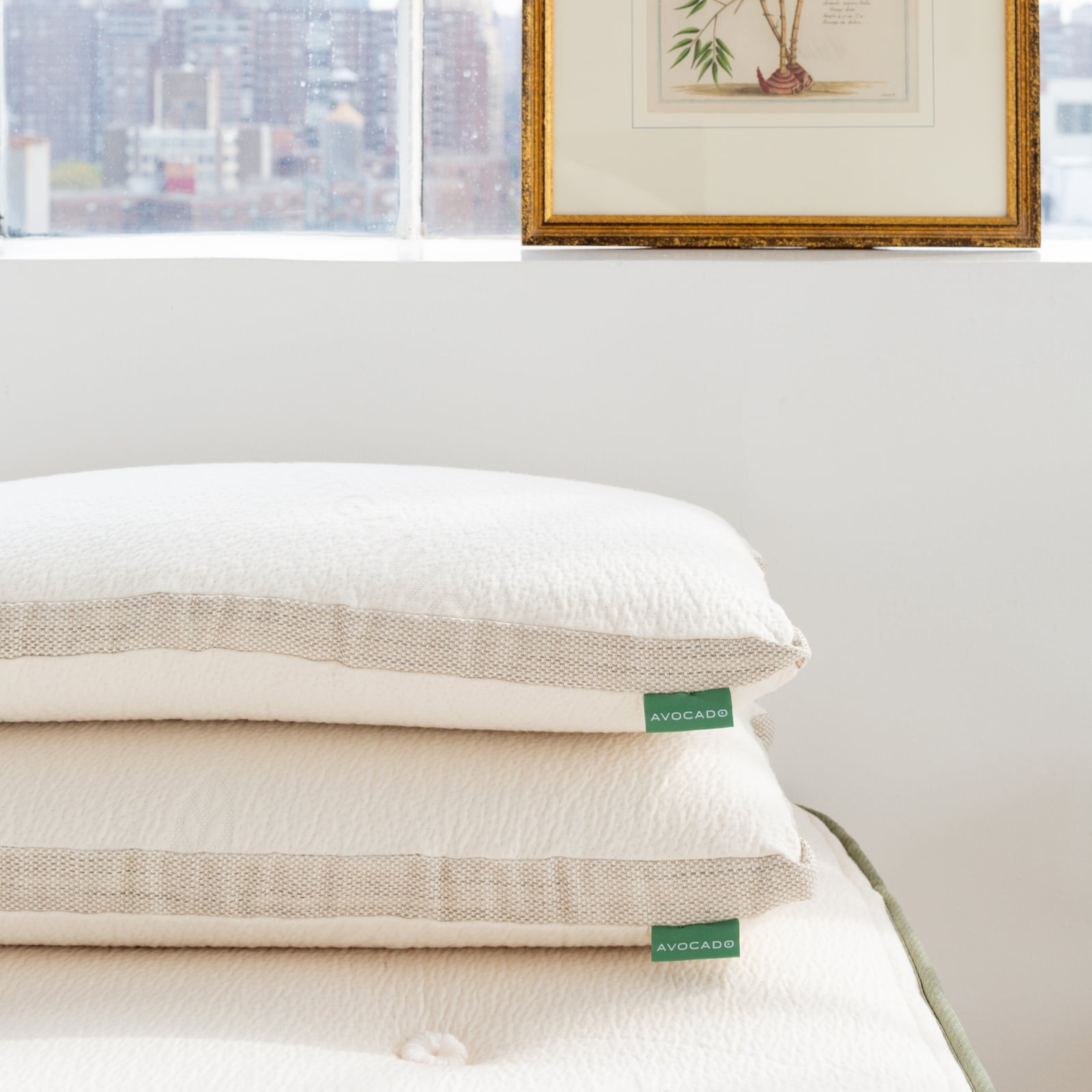 Avocado Molded Latex Pillow — Charcoal-Infused Latex Core, Firm Support