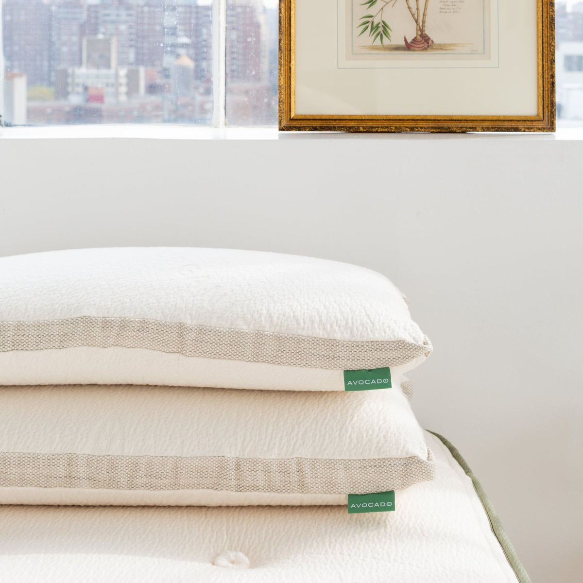 Avocado Molded Latex Pillow — Charcoal-Infused Latex Core, Firm Support