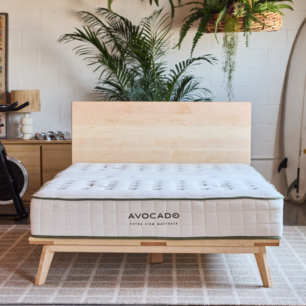 Avocado Extra Firm Mattress — Organic Latex Hybrid, Heavy-Duty, 10 in