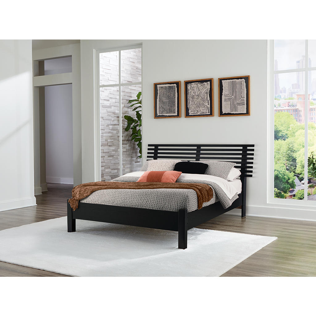 Danziar Queen Slat Panel Bed Signature Design by Ashley® Bedroom