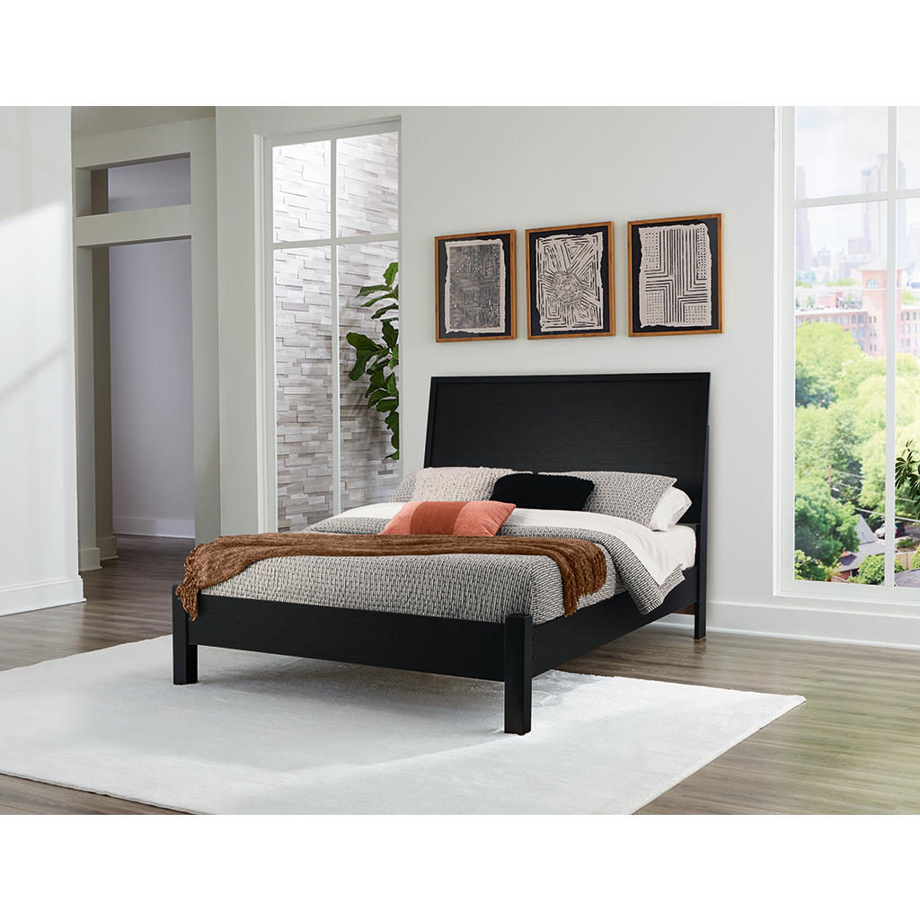 Danziar Queen Panel Bed, Dresser and Mirror Signature Design by Ashley® Uncategorized