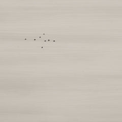 Darborn King Panel Bed, Dresser and Mirror