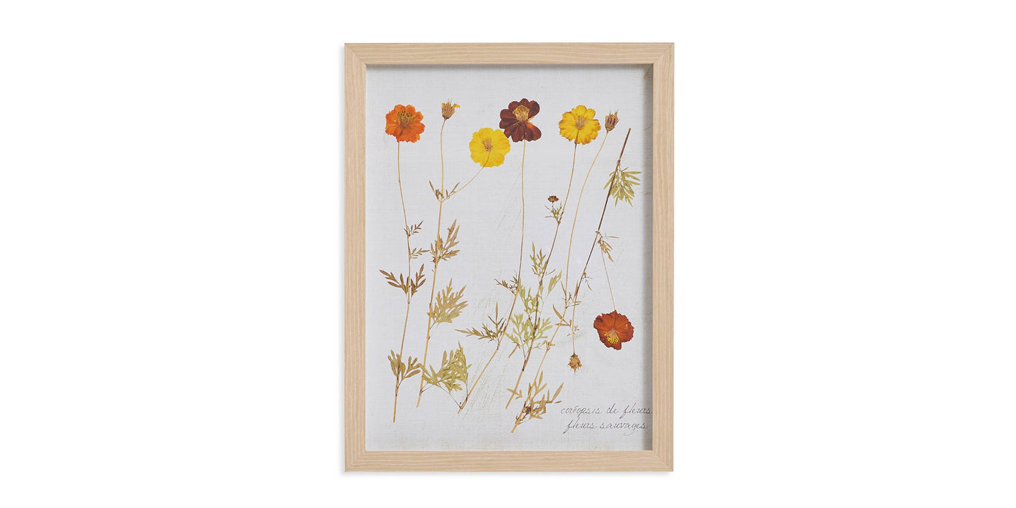Pressed Wild Poppies Bassett
