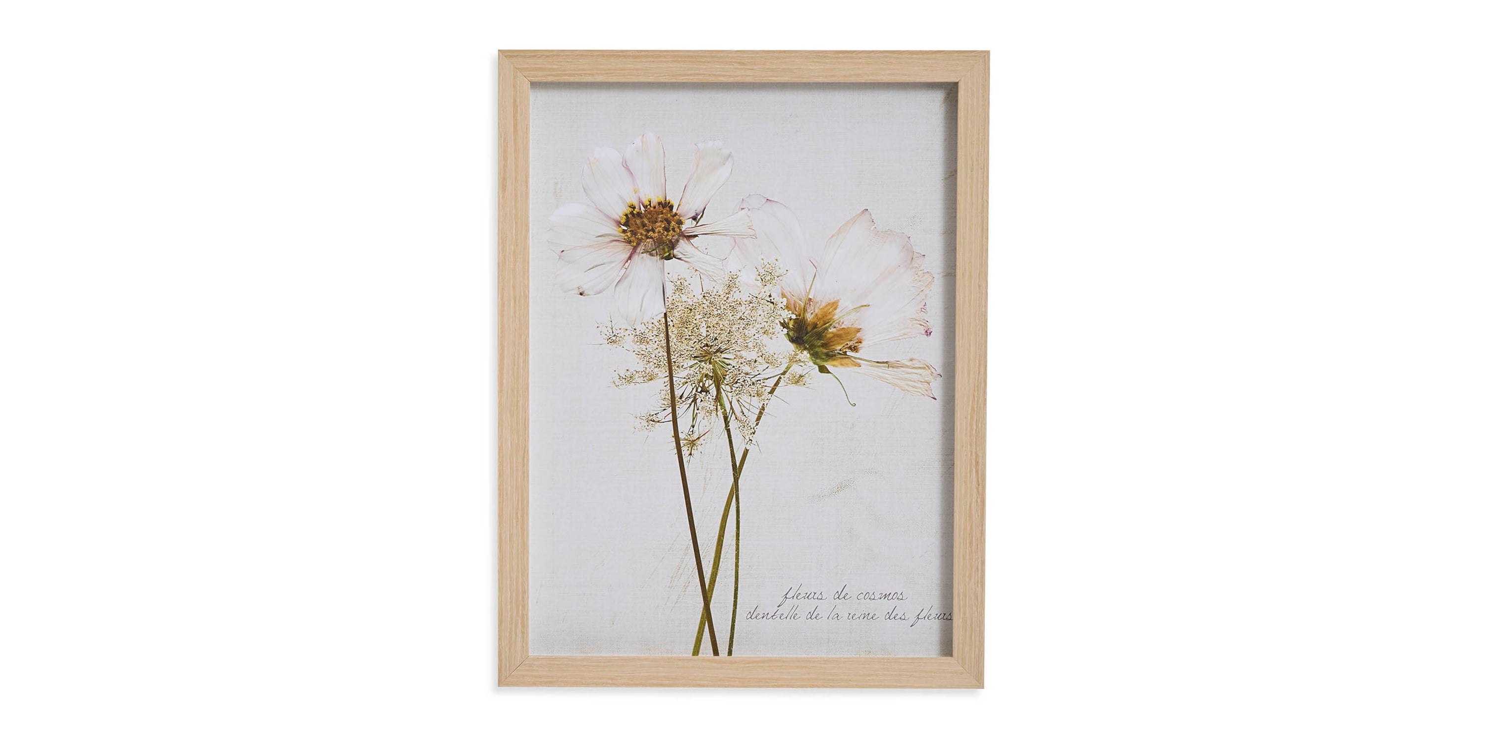 Wildflowers with Dandelion Bassett