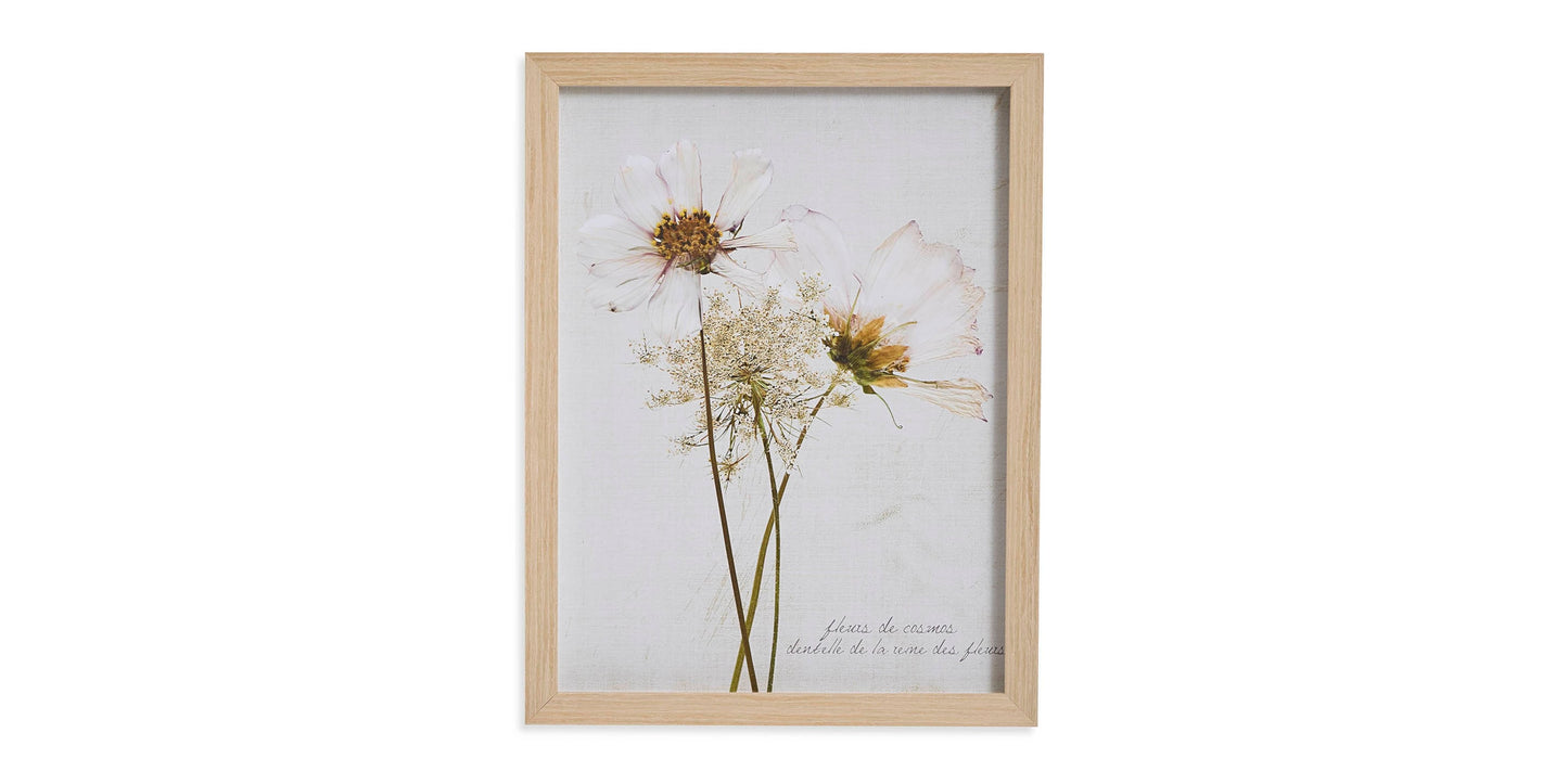 Wildflowers with Dandelion Bassett