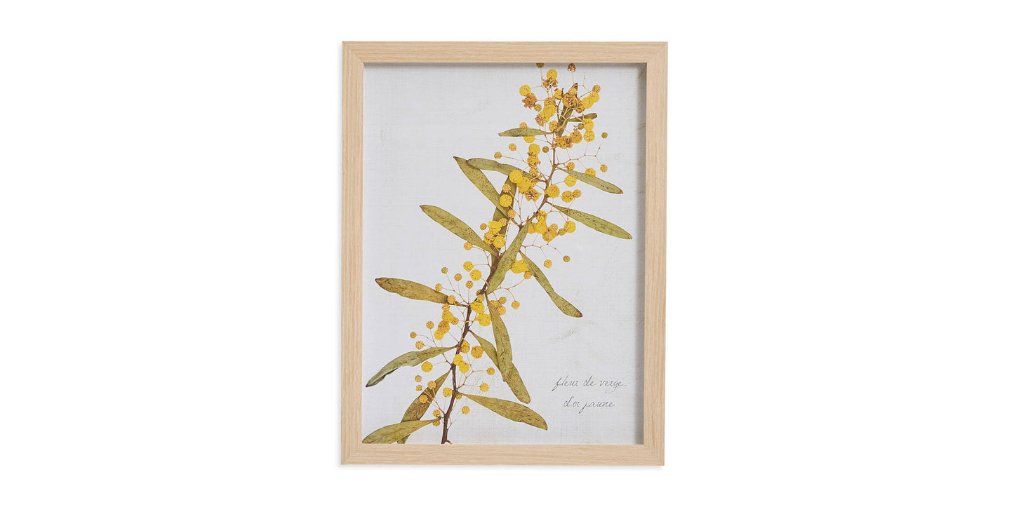 Golden Rod Branch Bassett