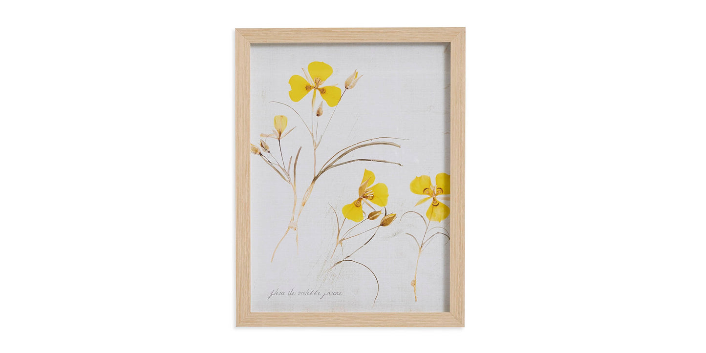 Pressed Yellow Violets Bassett