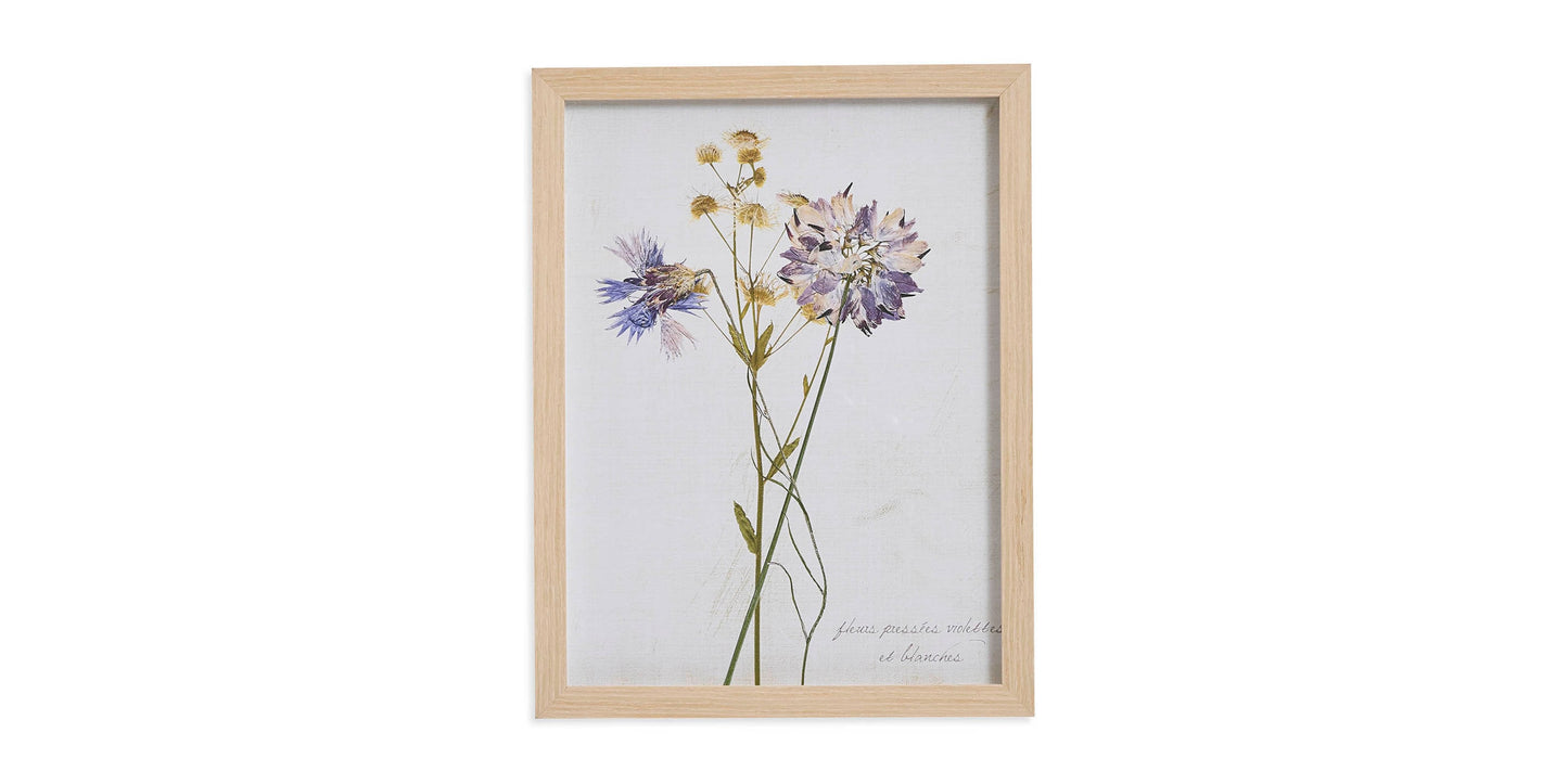Pressed Purple Flowers Bassett