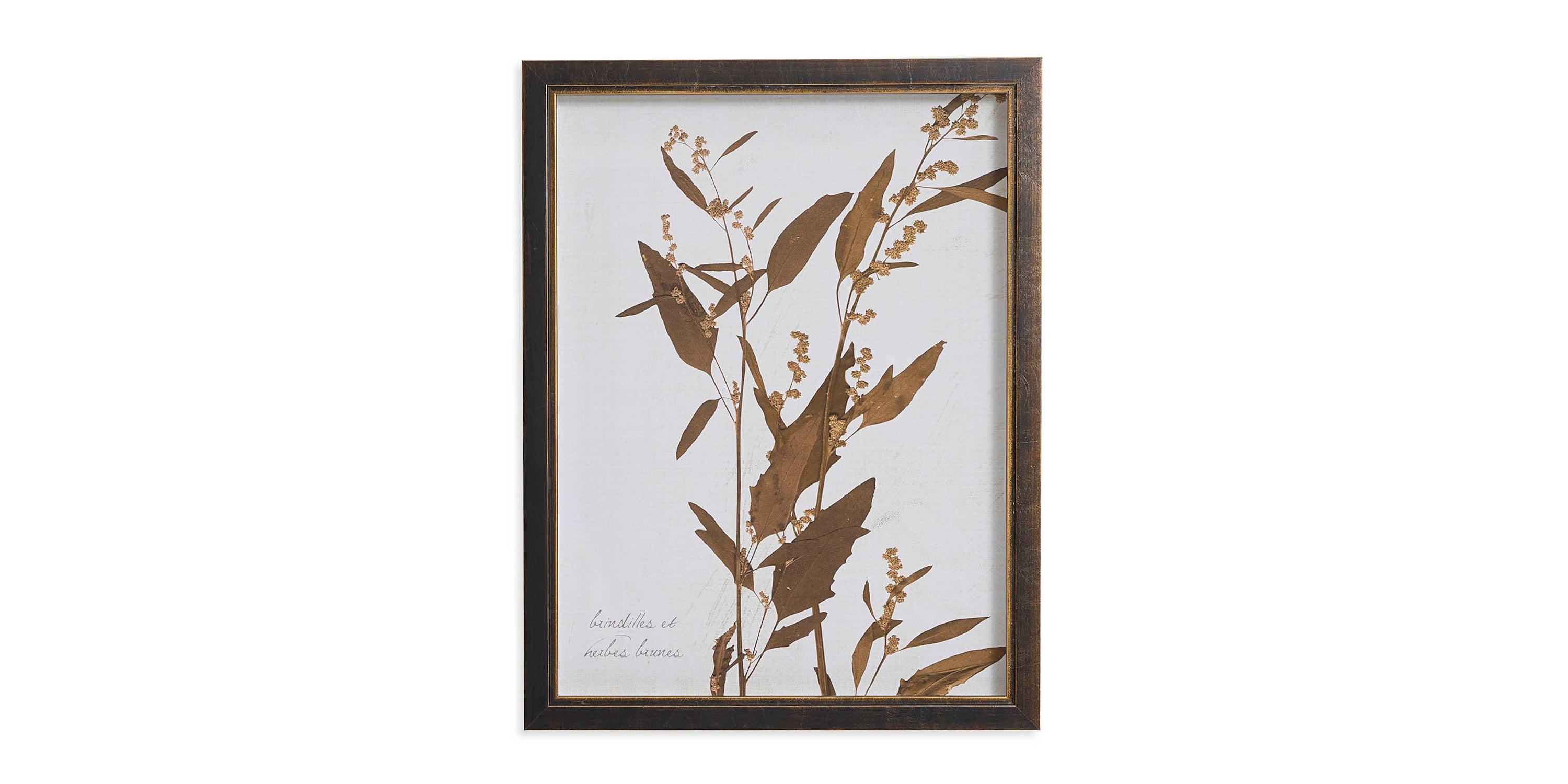 Sepia Branches Bassett