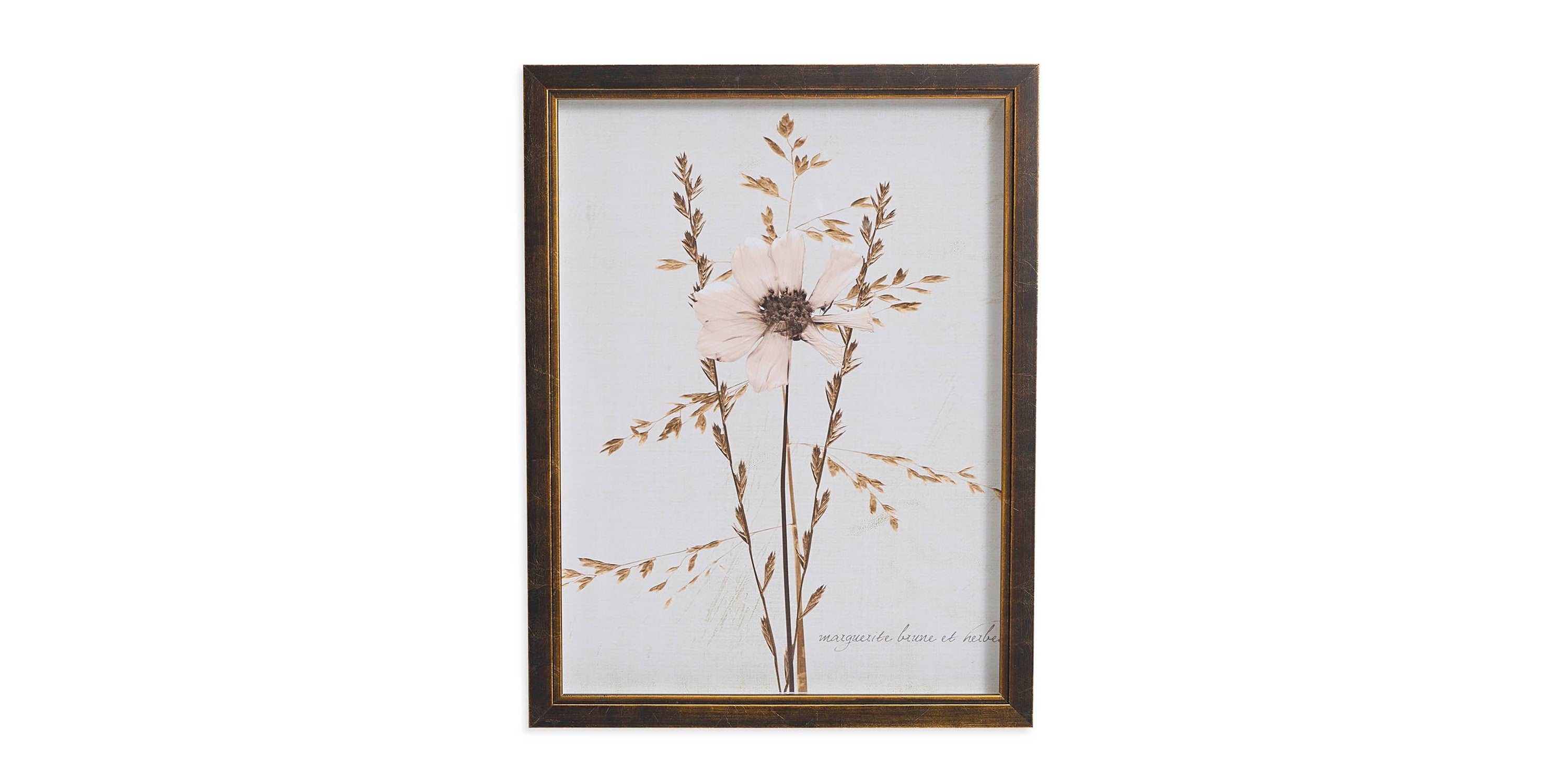 Sepia Pressed Wildflower I Bassett