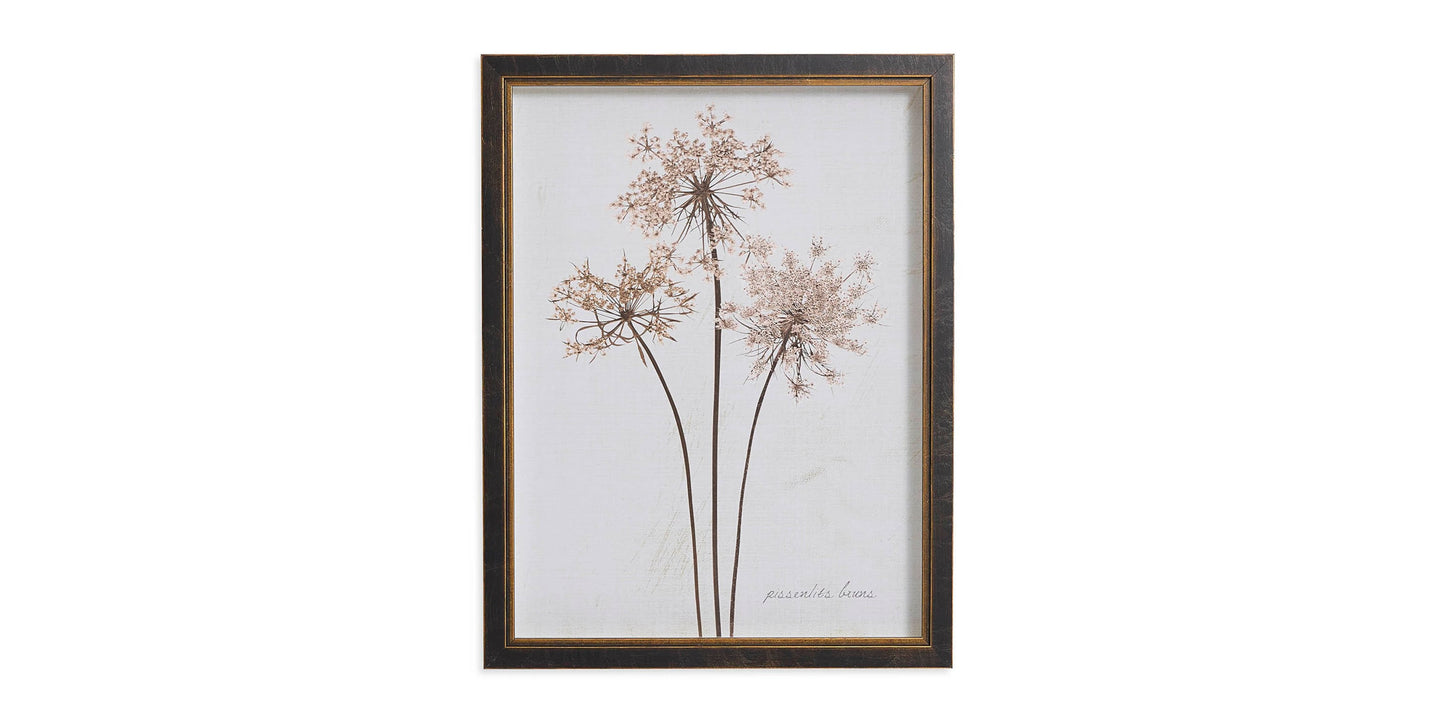 Sepia Pressed Dandelions Bassett