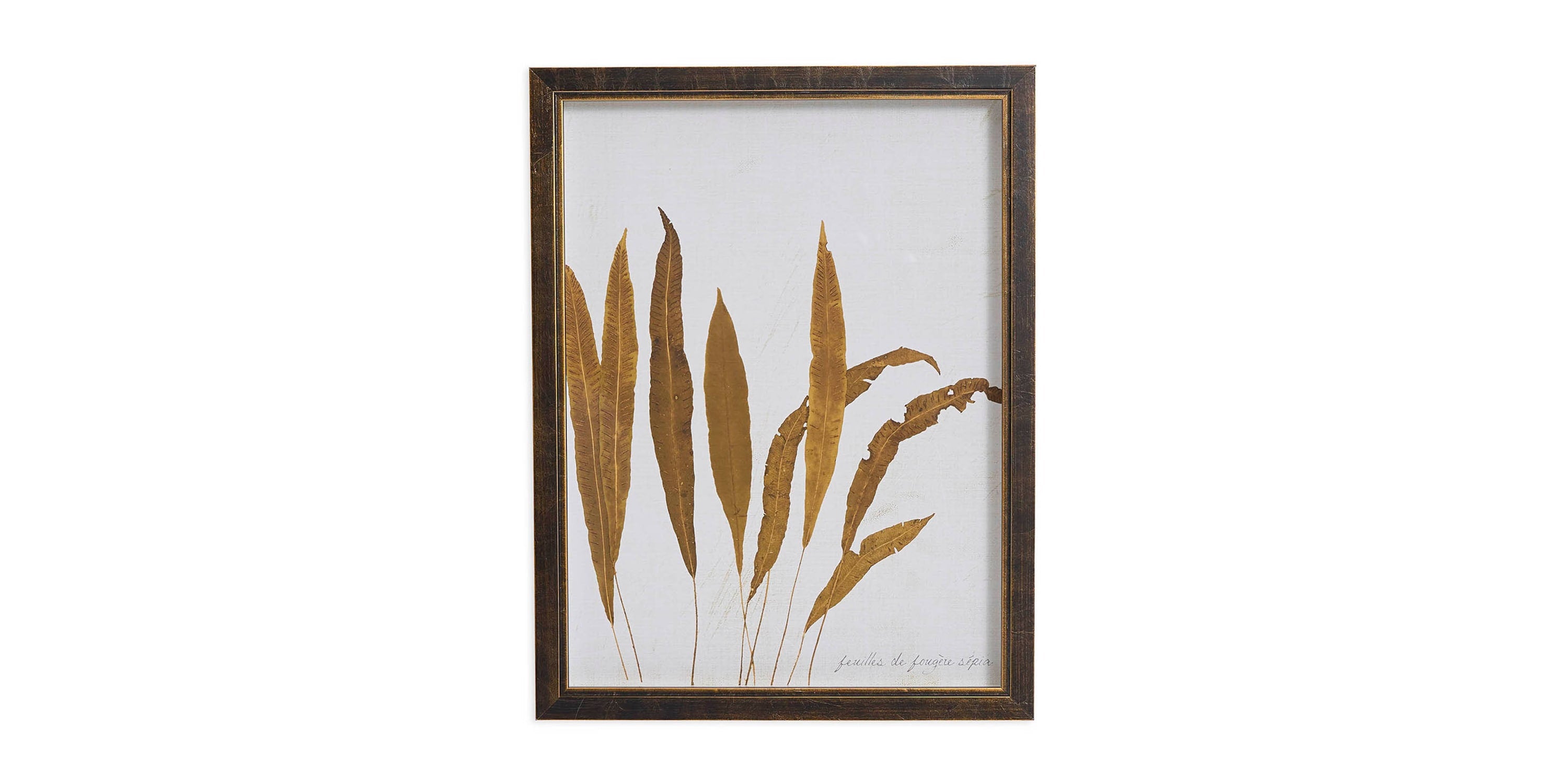 Sepia Leaves Bassett
