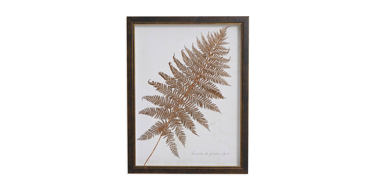 Sepia Fern Frond Bassett