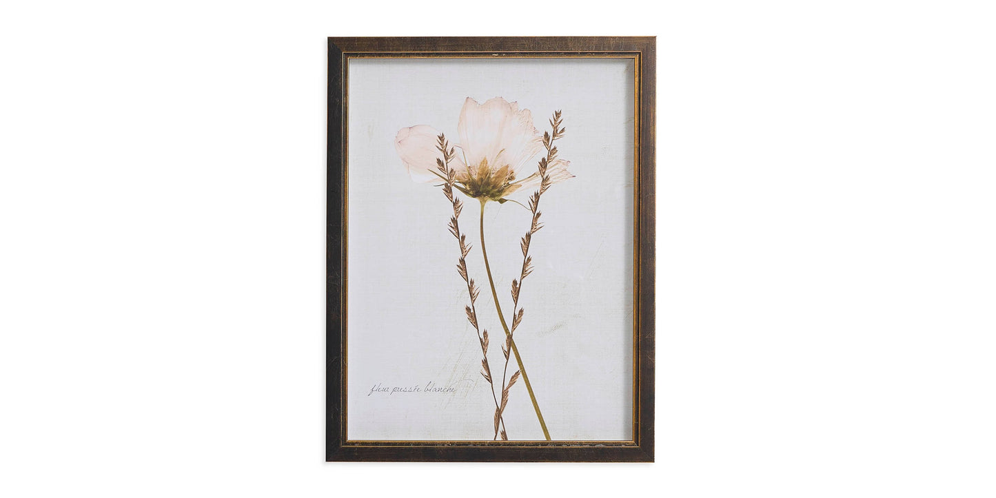 Sepia Pressed Wildflower II Bassett