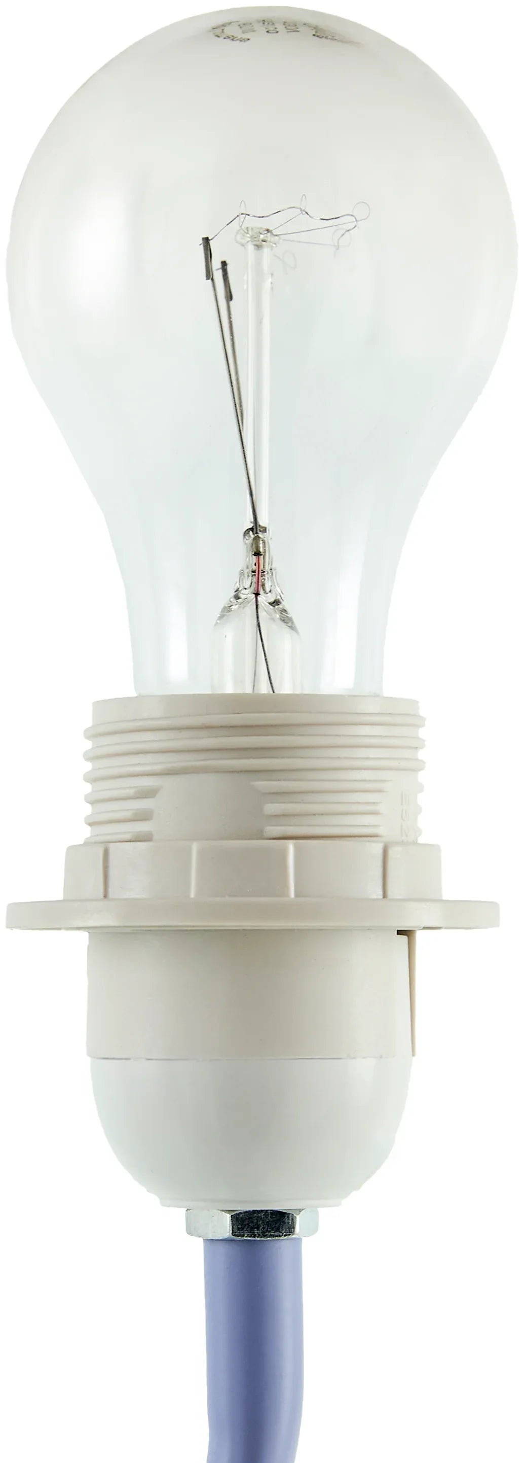 Begonia Accent Table Lamp Livabliss Begonia