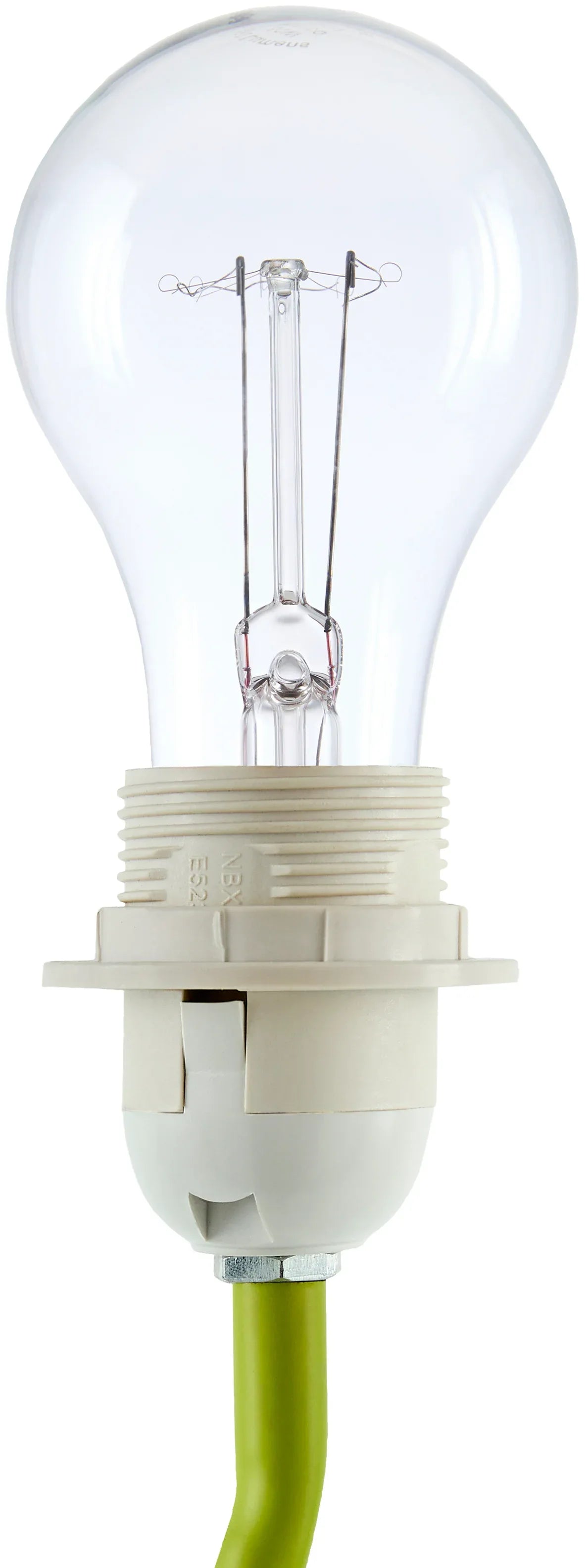 Begonia Accent Table Lamp Livabliss Begonia
