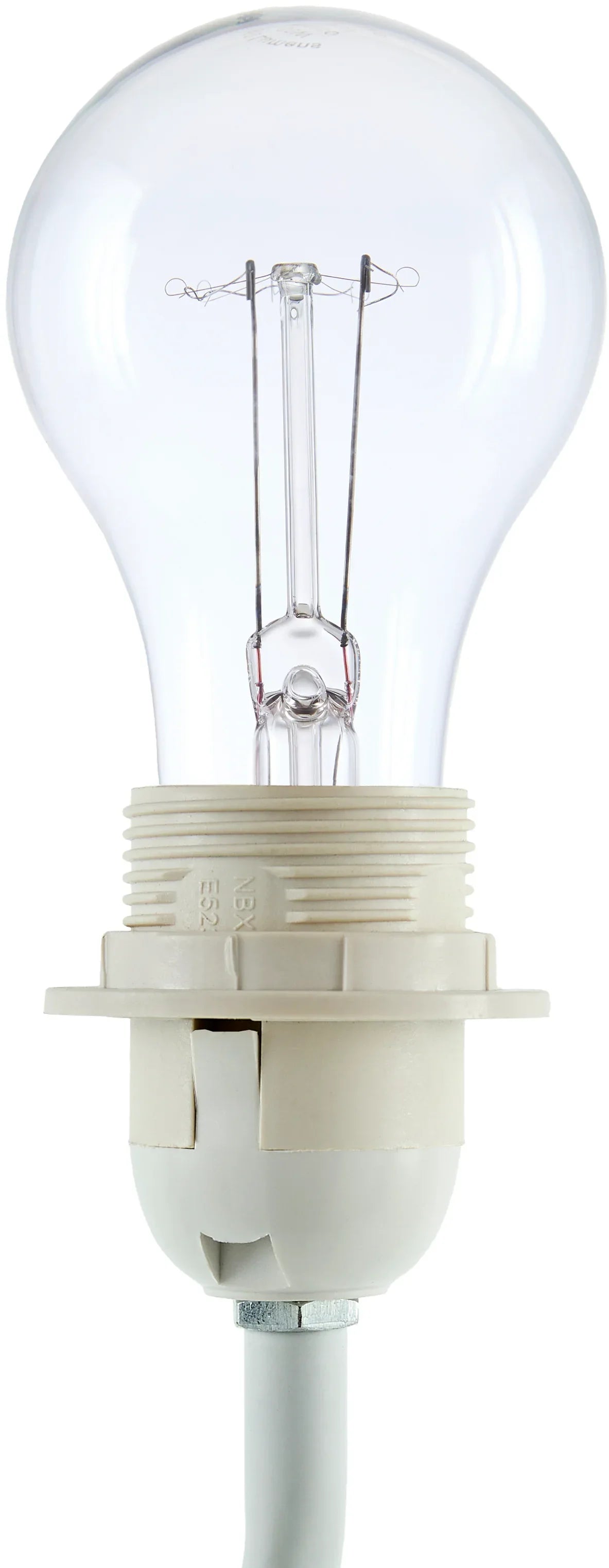 Begonia Accent Table Lamp Livabliss Begonia