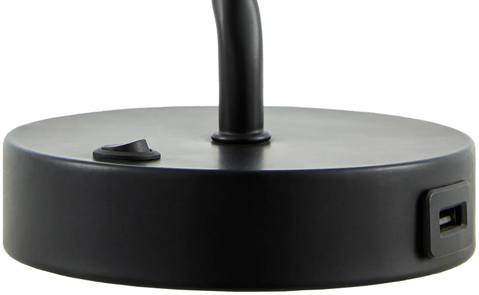 Begonia Accent Table Lamp Livabliss Begonia