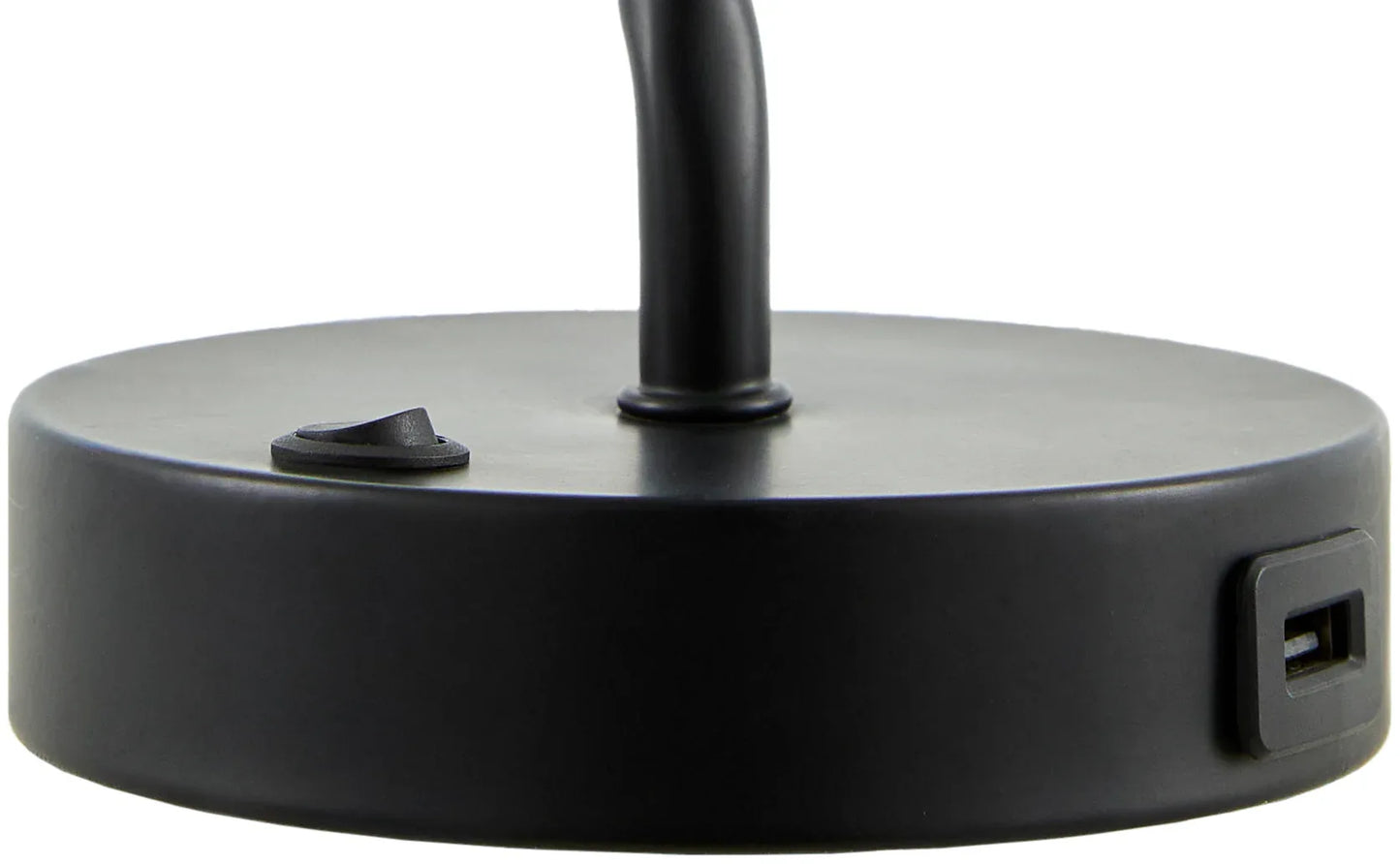 Begonia Accent Table Lamp Livabliss Begonia