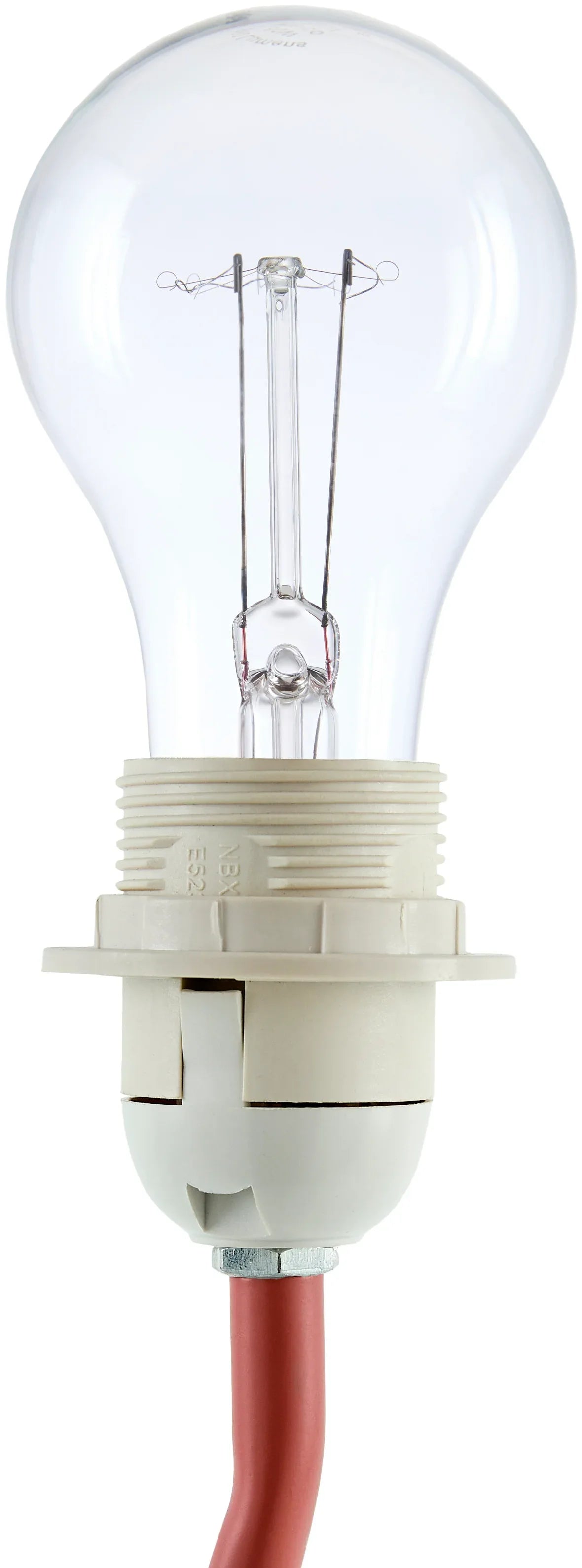 Begonia Accent Table Lamp Livabliss Begonia