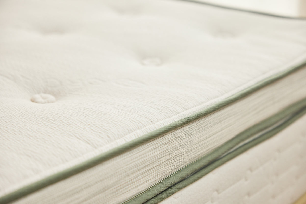 Avocado Green Mattress Plush Pillow-Top — 5 in Organic Latex, 13 in