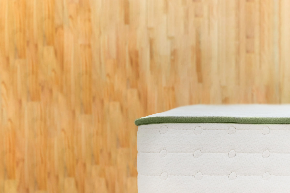 Avocado Green Mattress Medium Tight-Top — Organic Latex Hybrid, 11 in
