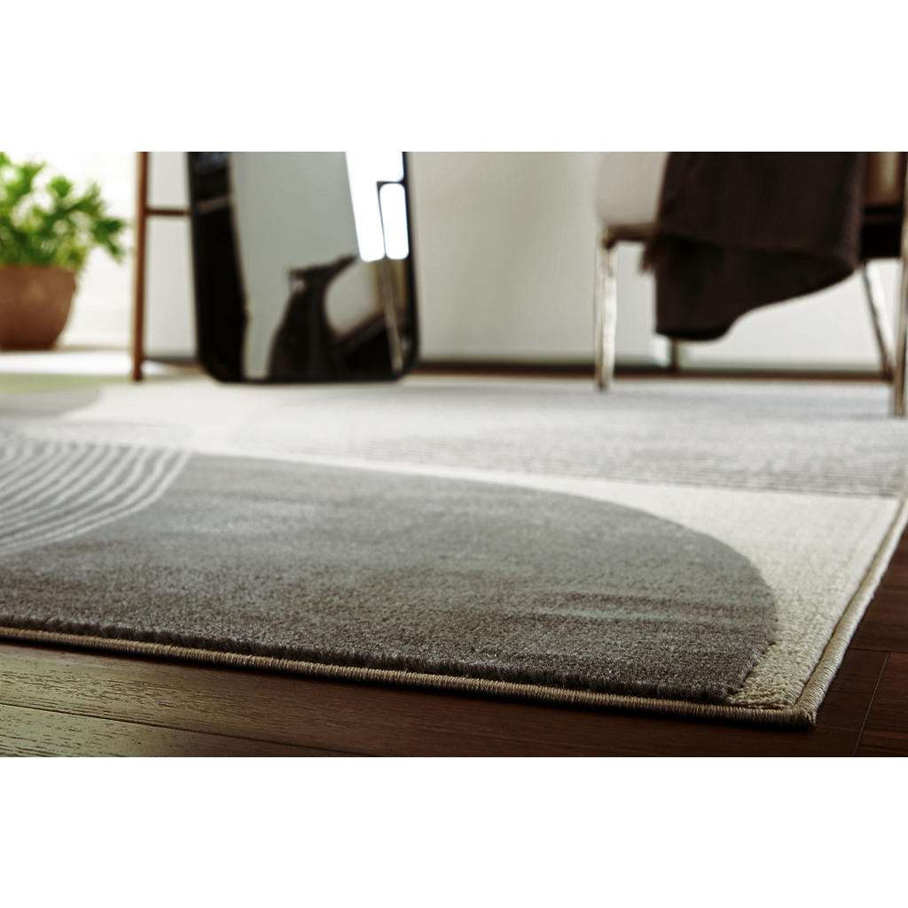 Winderburg Medium Rug Signature Design by Ashley® Rugs