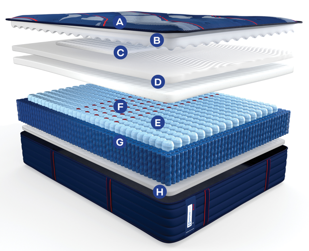 Elite Albany II Firm TightTop 14" Profile