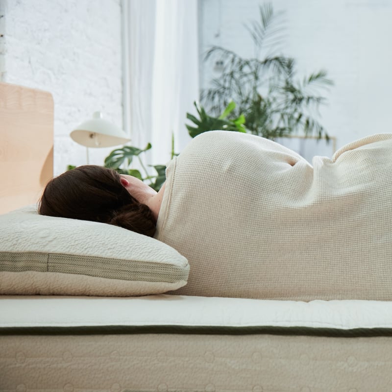 Avocado Green Side Sleeper Pillow — Contoured Organic Latex and Kapok