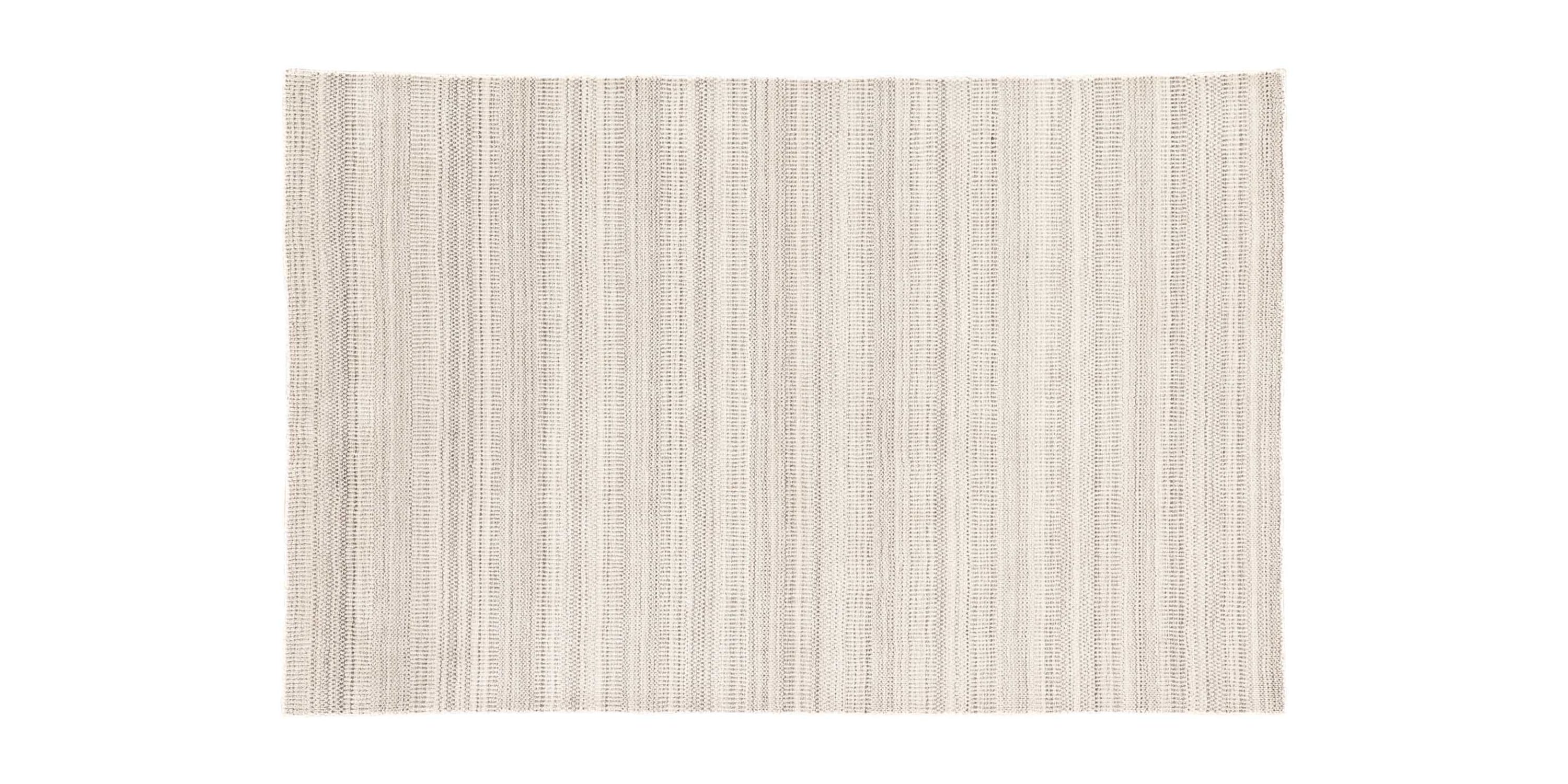 Trendier Rug Bassett