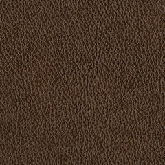 The Man-Den Sofa and Loveseat