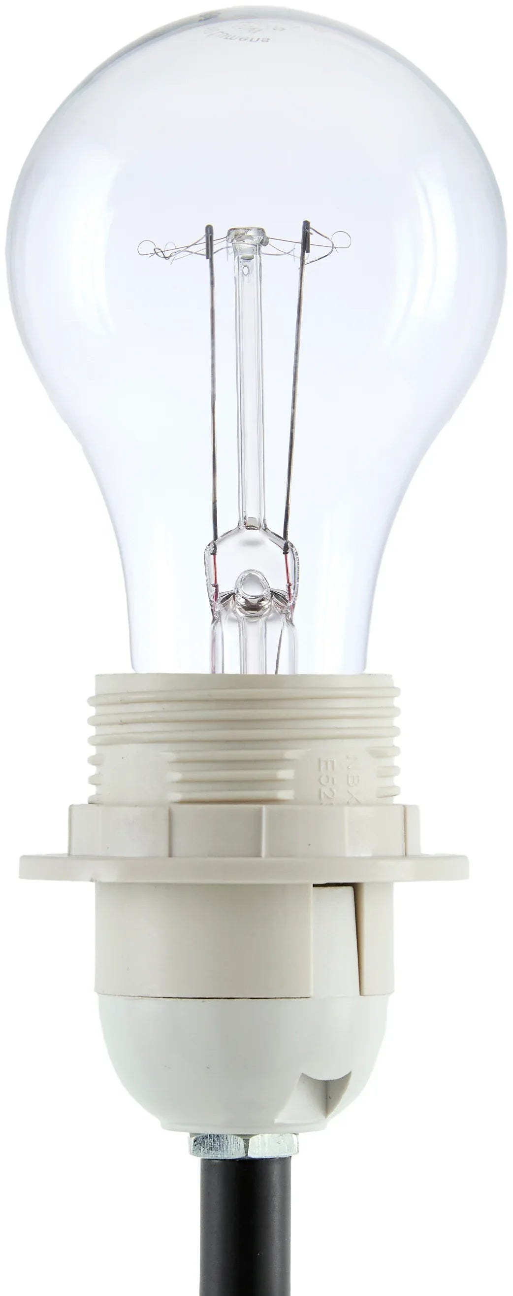 Begonia Accent Table Lamp Livabliss Begonia