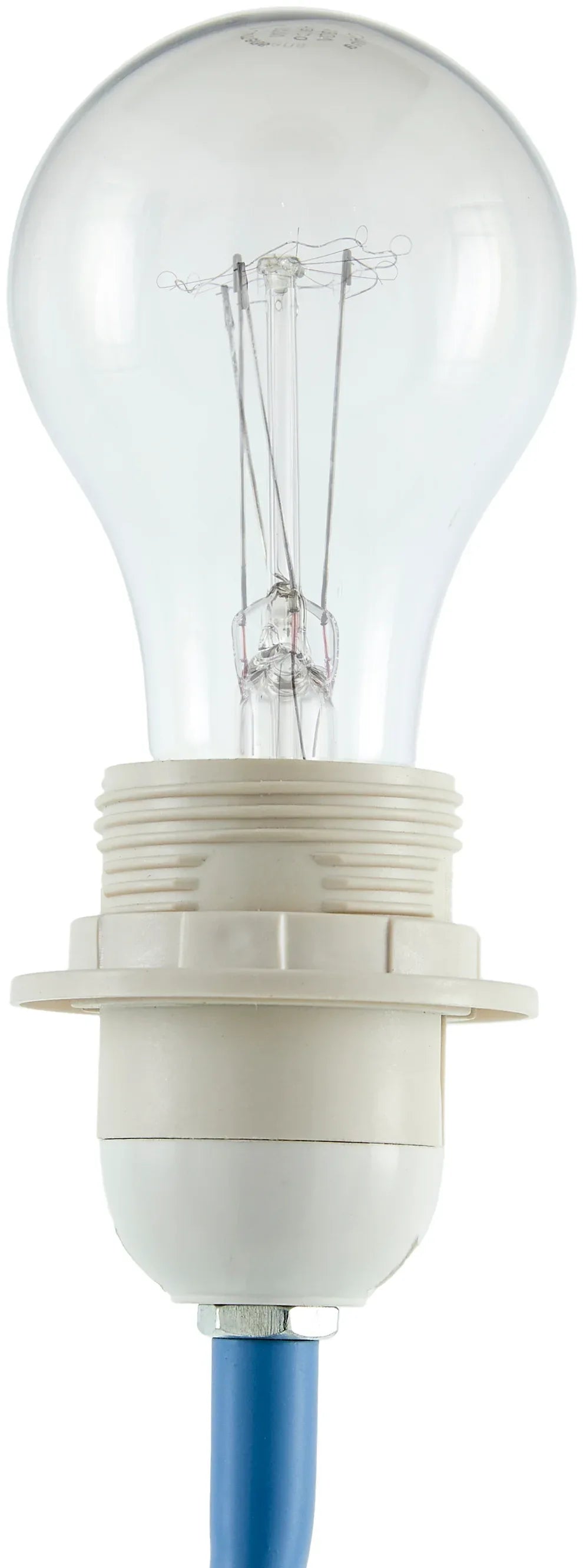 Begonia Accent Table Lamp Livabliss Begonia