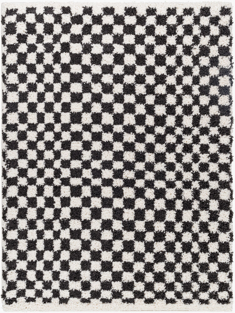 Birmingham Machine Woven Rug — Black/Ivory