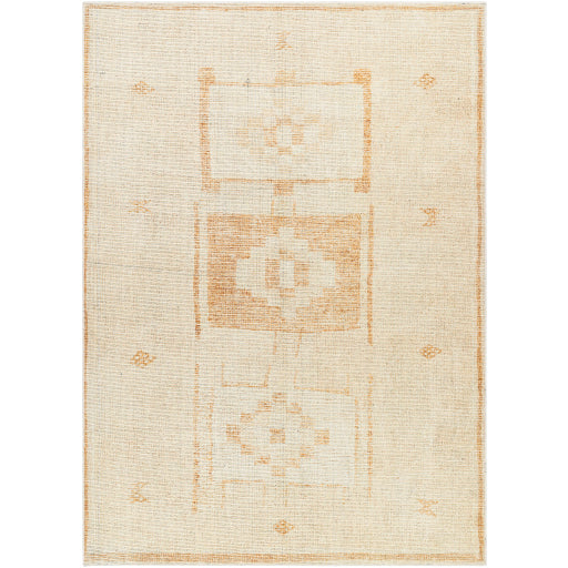 Solana Machine Woven Rug Becki Owens X Livabliss Solana