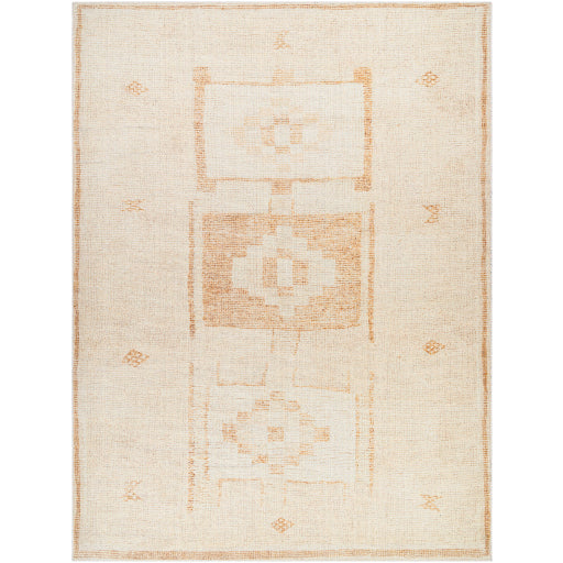 Solana Machine Woven Rug Becki Owens X Livabliss Solana