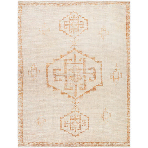 Solana Machine Woven Rug Becki Owens X Livabliss Solana