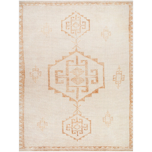 Solana Machine Woven Rug Becki Owens X Livabliss Solana