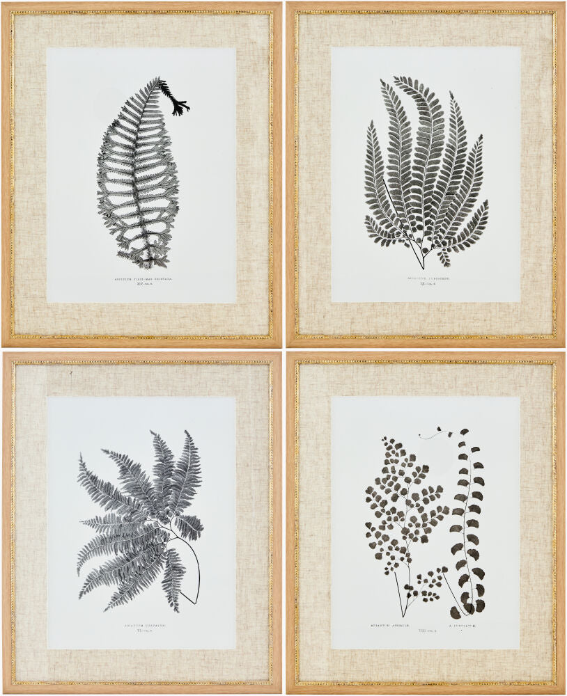 Ferne Framed Art — Brown/Charcoal